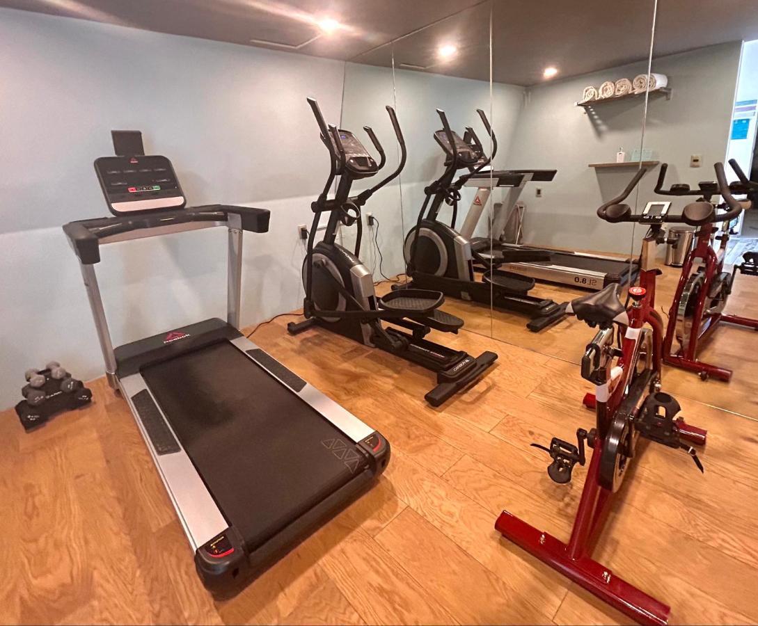 Hotel Cle Reforma Insurgentes Мехіко Екстер'єр фото